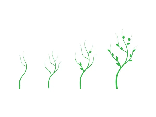 Növekedési Diagram Növekedő Növény Vektorikonja — Stock Vector
