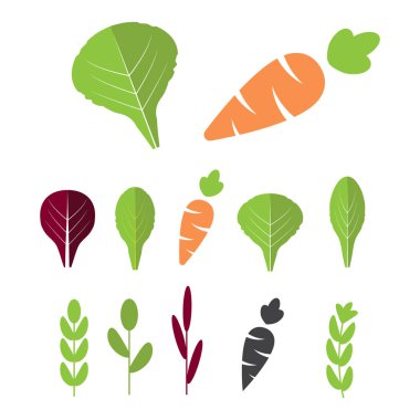 Havuç salatası malzemeler. Yapraklı sebzeler havuç düz Icons set ile. Organik ve vejetaryen, Hodan ve radichio. 