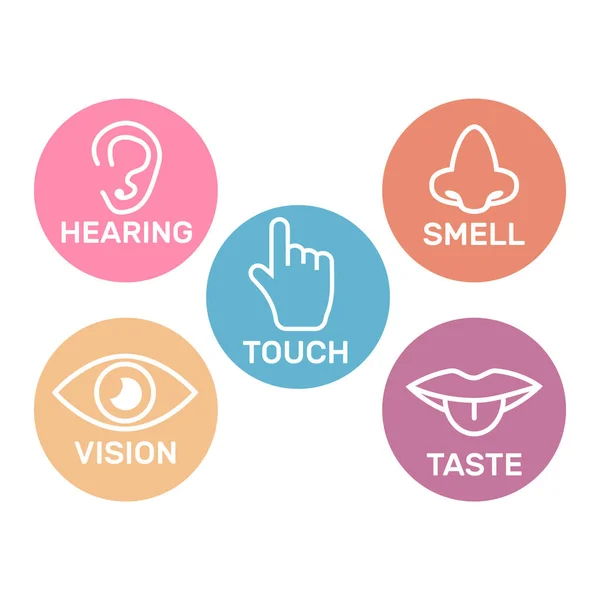 Icon Set Five Human Senses Senses Symbols — Stock Vector