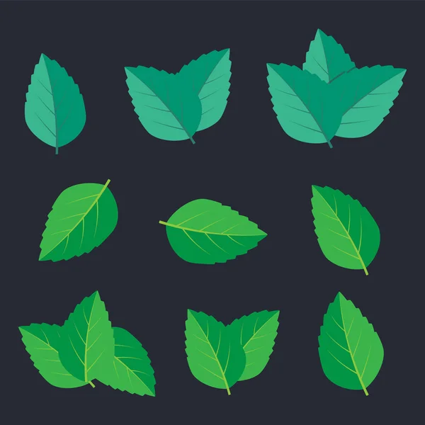 Mint blad vektor logotyp. Mint blad vektor illustration — Stock vektor