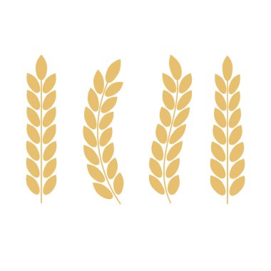 Vektör altın defne. Laurel çelenk ödülü ve altın kurdele. Defne çelengi ile ödül işaretleri