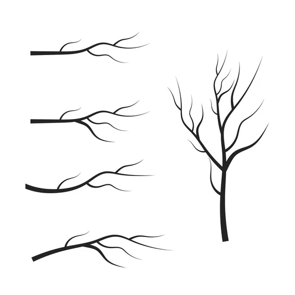 Ensemble vectoriel branches d'arbres secs. Feuilles, tourbillons et éléments floraux — Image vectorielle