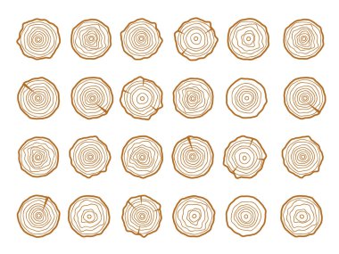 Vektör ağacı halkaları. Ahşap doku vektörü. Soyut çember ağaç arkaplanı