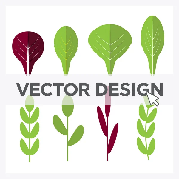 Přísady Salátu Vektorové Ploché Ikony Listové Zeleniny Organické Vegetariánské Divoké — Stockový vektor