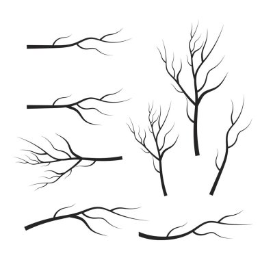 vektör kuru ağaç dalları belirledi. Yapraklar, girdaplar ve çiçek elementleri