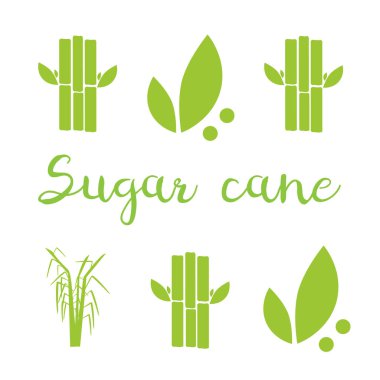 Şeker kamışı çizimi. Şeker ve şeker kamışı etiketleri