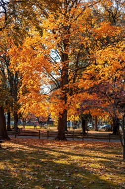 Canlı renkler her yerde gece güneşli bir günde bir şehir sonbahar parkında bulunmaktadır..