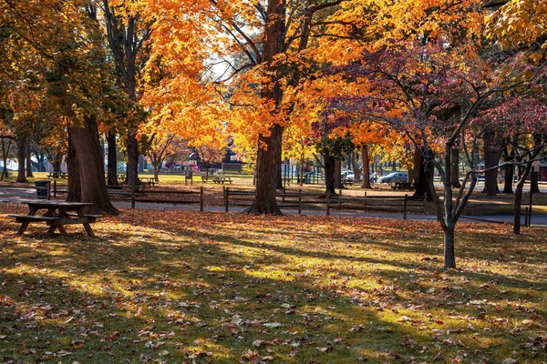 Canlı renkler her yerde gece güneşli bir günde bir şehir sonbahar parkında bulunmaktadır..