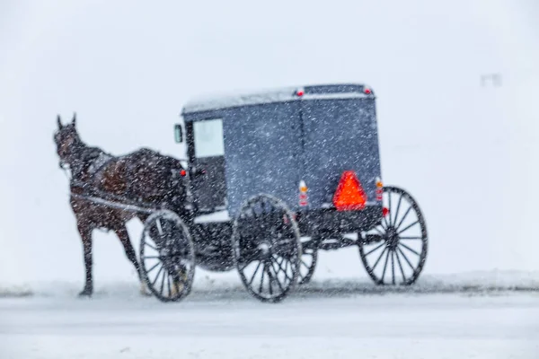 Bird-in-Hand, Pa - Mart 5, 2015: Bir Amish arabası kırsal Lancaster County bir wintry fırtına sırasında yolda karlı koşullarda seyahat.