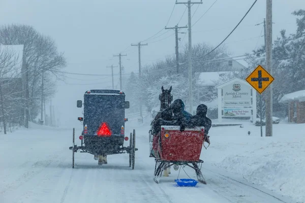 Kuş-in-Hand, Pa-5 Mart 2015: bir Amish arabası ve bir atlı kızak kırsal Lancaster County bir kar fırtınası sırasında yolun paylaşmak.