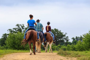 Gettysburg, PA, ABD - 20 Haziran 2018: Savaş alanında bir at gezisi General Sickles 'ın ikinci gün yaralandığı yeri gösterir..