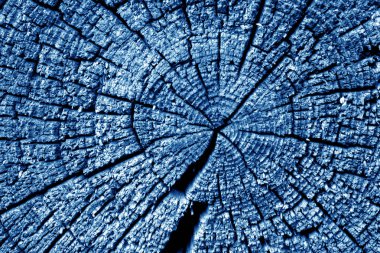 Eski günlük makro Lacivert sesi kesti. Arka plan ve tasarım için doku.