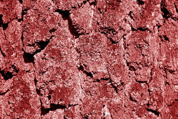 Struttura Della Corteccia Betulla Tono Rosso Sfondo Astratto Texture Design — Foto Stock