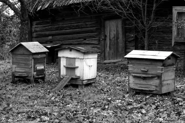 Κυψέλες Μελισσών Στη Φθινοπωρινή Σεζόν Bqackground Γεωργία Και Θέα — Φωτογραφία Αρχείου