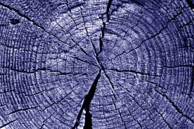 Eski günlük makro mavi sesi kesti. Arka plan ve tasarım için doku.