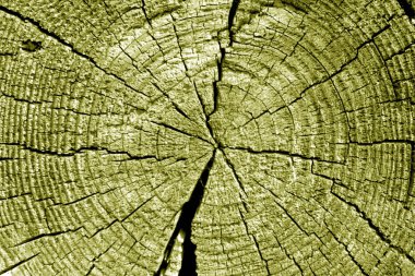 Eski günlük makro sarı tonda kesme. Arka plan ve tasarım için doku.