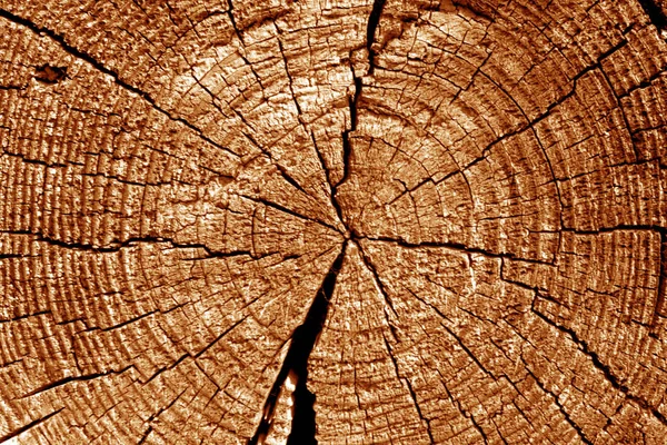 Velho Log Cortar Macro Tom Laranja Fundo Abstrato Textura Para — Fotografia de Stock
