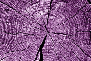 Eski günlük makro mor sesi kesti. Arka plan ve tasarım için doku.