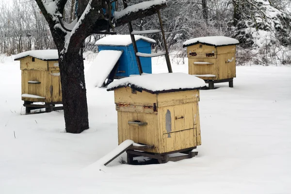Eski Arı Kovanlarını Kışın Mevsimlik Arka Plan Doku — Stok fotoğraf