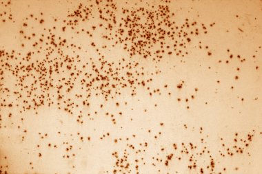 Eski paslı metal bir yüzeye turuncu tonda. Arka plan ve doku.