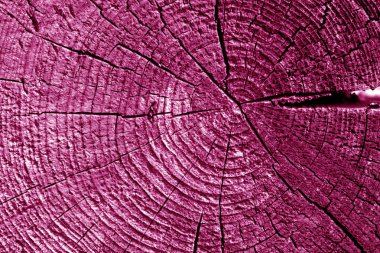 Eski günlük makro pembe tonda kesme. Arka plan ve tasarım için doku.