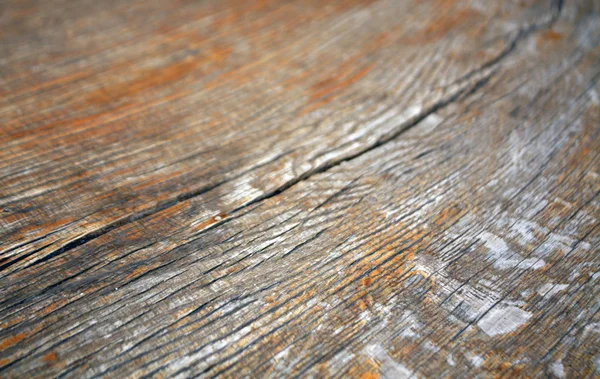 Braune Farbe Altes Log Cut Makro Abstrakter Hintergrund Und Textur — Stockfoto