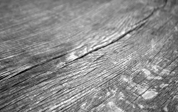 Old Log Cut Macro Black White Abstract Background Texture Design — Stock Photo, Image