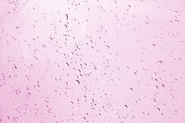 Mevsimlik su penceresinde pembe tonda bırakır. Mevsimlik arka plan doku tasarımı için.