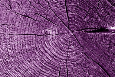 Eski günlük makro mor sesi kesti. Arka plan ve tasarım için doku.