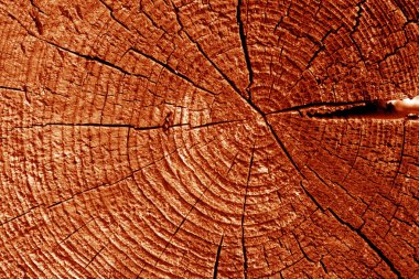 Eski günlük makro turuncu sesi kesti. Arka plan ve tasarım için doku.