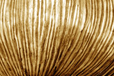 turuncu renk soyut uneaven doku. Arka plan ve tasarım için doku