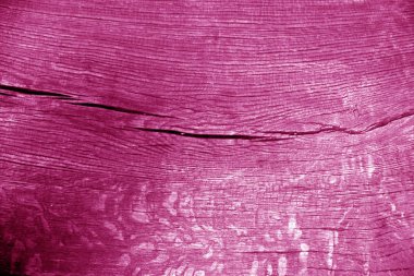 Eski günlük makro pembe renkte kesti. Arka plan ve tasarım için doku.