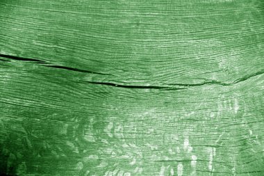 Eski günlük makro yeşil renkte kesti. Arka plan ve tasarım için doku.