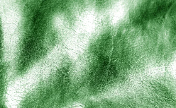 Natural leather on sun in green color. Abstract background and texture for design.