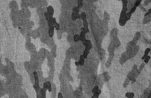 Old camouflage cloth texture in black and white. Abstract background and texture for design abd ideas.