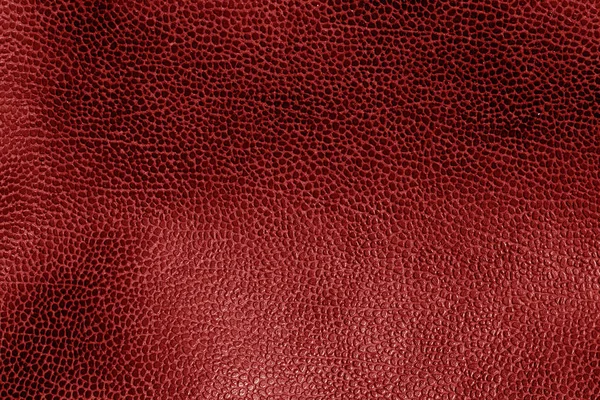 Vörös Tónusú Viharvert Bőr Textúra Absztrakt Háttér Textúra Design Ötletek — Stock Fotó