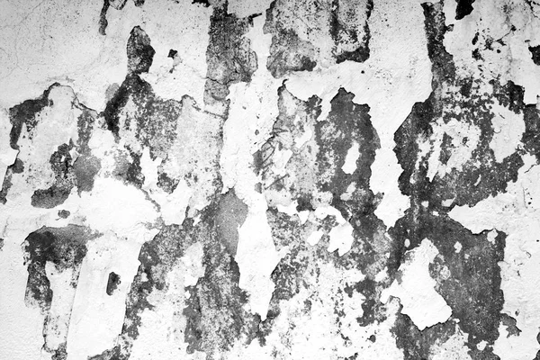 craked weathered cement wall texture in black and white. Abstract background and texture for design.