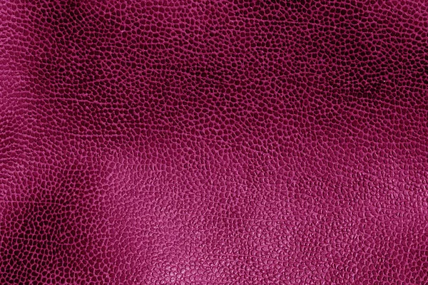 Textura Piel Envejecida Tonificada Rosa Fondo Abstracto Textura Para Diseño — Foto de Stock