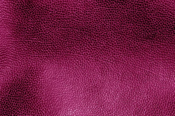 Pink toned weathered leather texture. Abstract background and texture for design and ideas