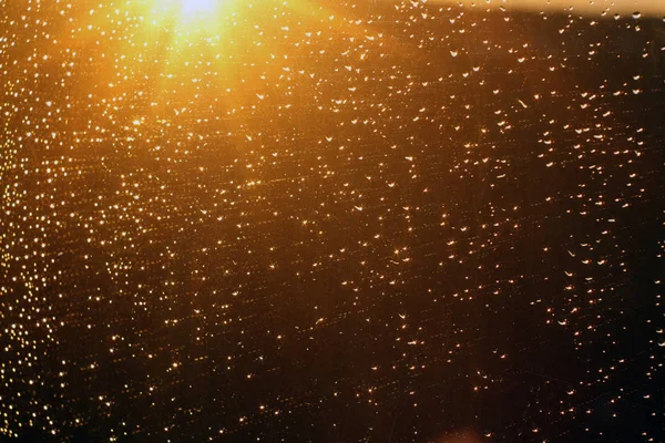 Gotas de lluvia y fondo desenfocado del cielo . —  Fotos de Stock