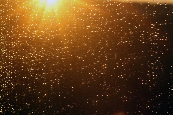 Chuva cai e céu desfocado fundo . — Fotografia de Stock