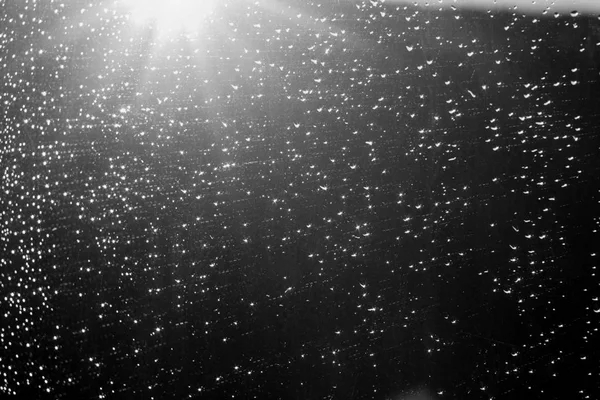Gotas de lluvia y fondo cielo desenfocado en blanco y negro . — Foto de Stock