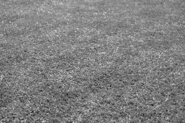 Artificial grass football field loan with blur effect in black a — Stock Photo, Image