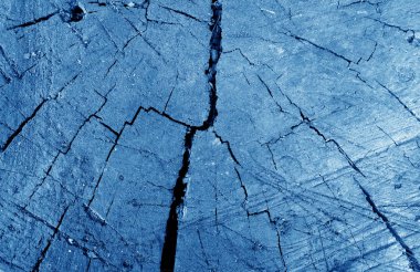 Lacivert tonda eski kirli ağaç kesme yakın çekim.