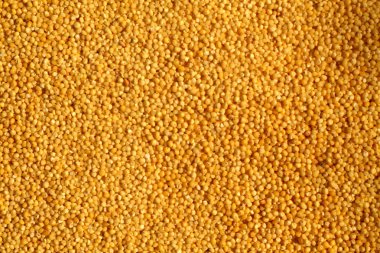 Darı kabuğu çıkarılmış tane yakın çekim ile bulanıklık etkisi.