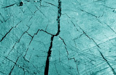 Eski kirli ağaç cyan tonda yakın çekim kesti.