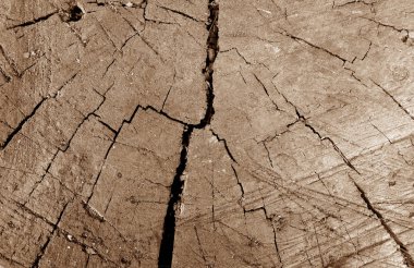 Eski kirli ağaç kahverengi tonda yakın çekim kesti.