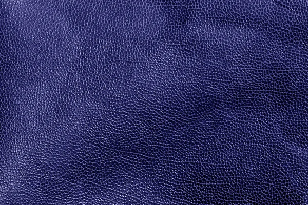 Verweerd leder texture in blauwe Toon. — Stockfoto
