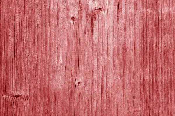 Texture du panneau en bois dans le ton rouge . — Photo