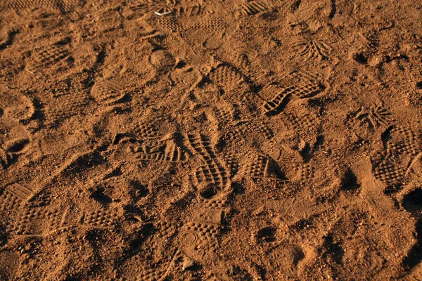 Veel voetafdrukken in het zand. — Stockfoto